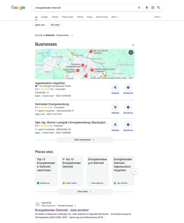 Google result, Energieberater Detmold