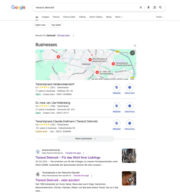 Google result, Tierarzt Detmold